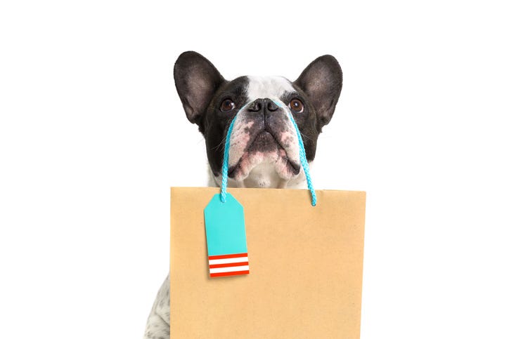Dog With Gift Bag