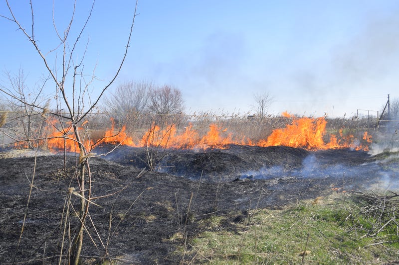 Wildfires