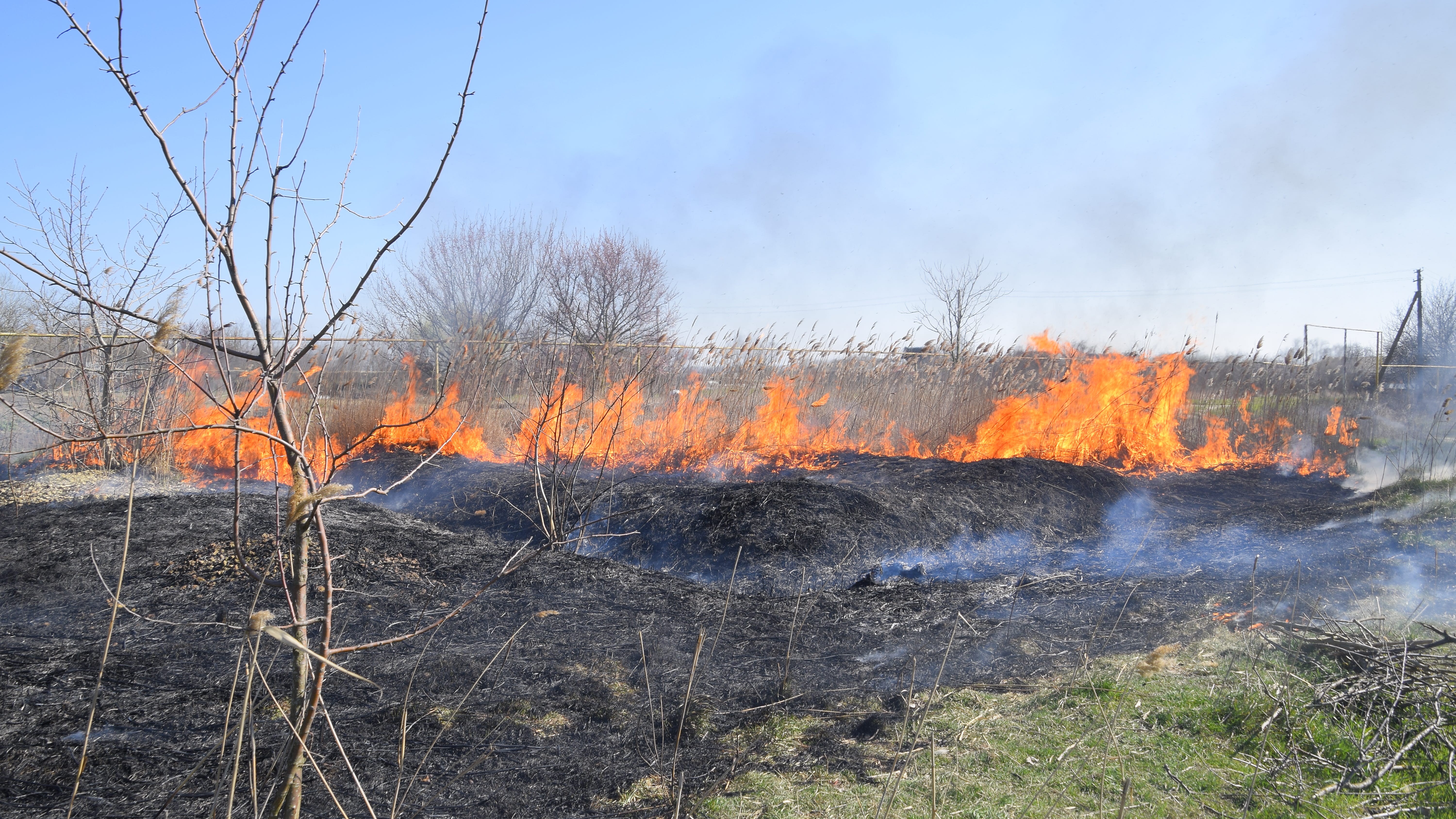 Grass fires hit rural parts of DFW Metroplex