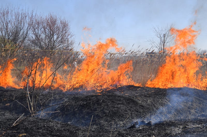 Brush fire