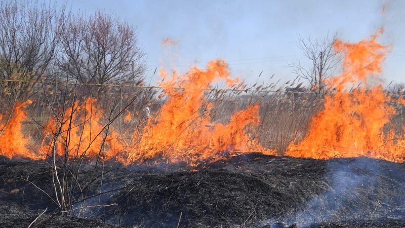 Fire