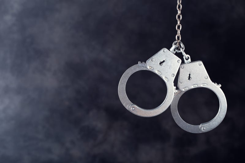 Two police officers were assaulted as they tried to break up a fight inside a Suffolk County home Friday morning.