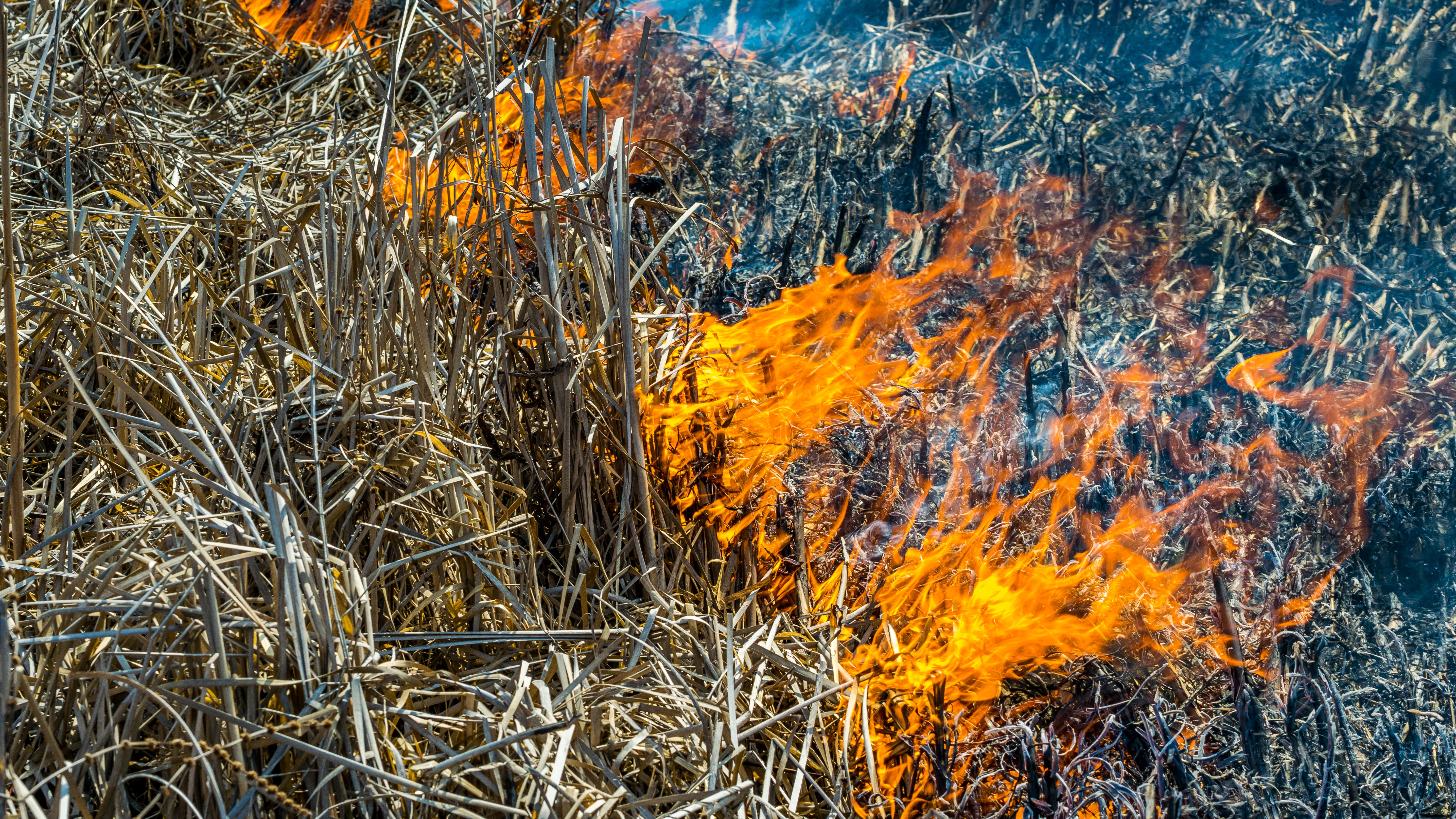 Glenn Heights Fire Department battling grassfire, evacuating two neighborhoods