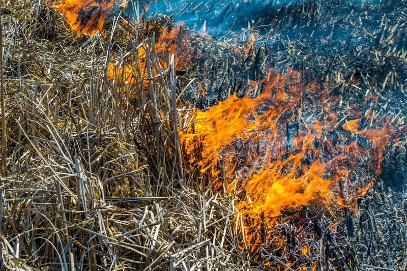 Grass fire