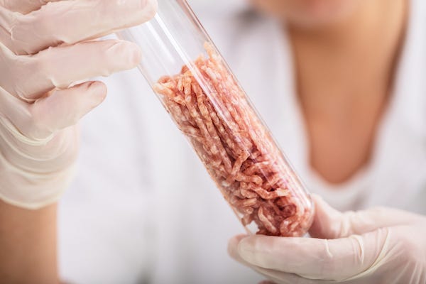 Scientist holding meat sample in a test tube