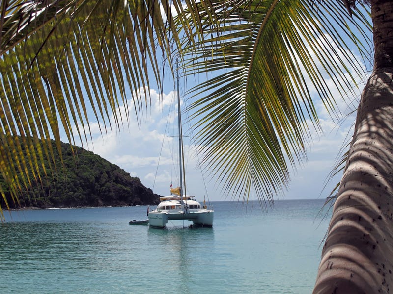 catamaran in the caribbean
