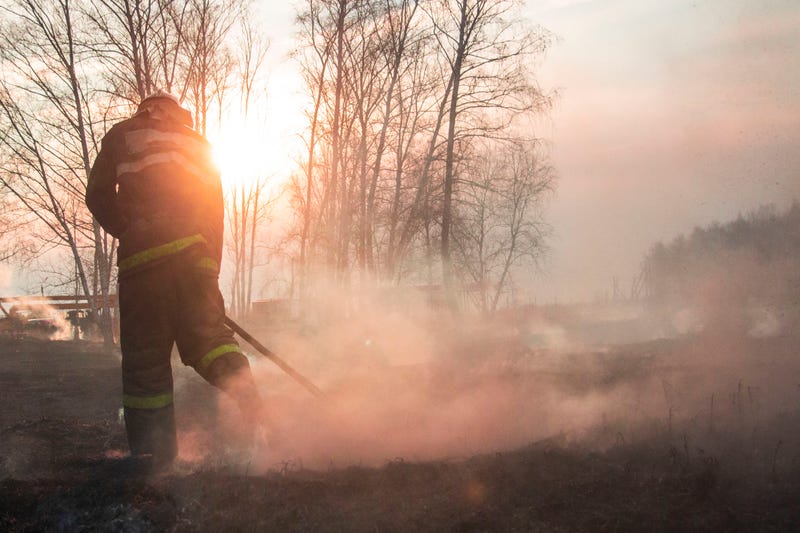 Forest fire stock photo. 