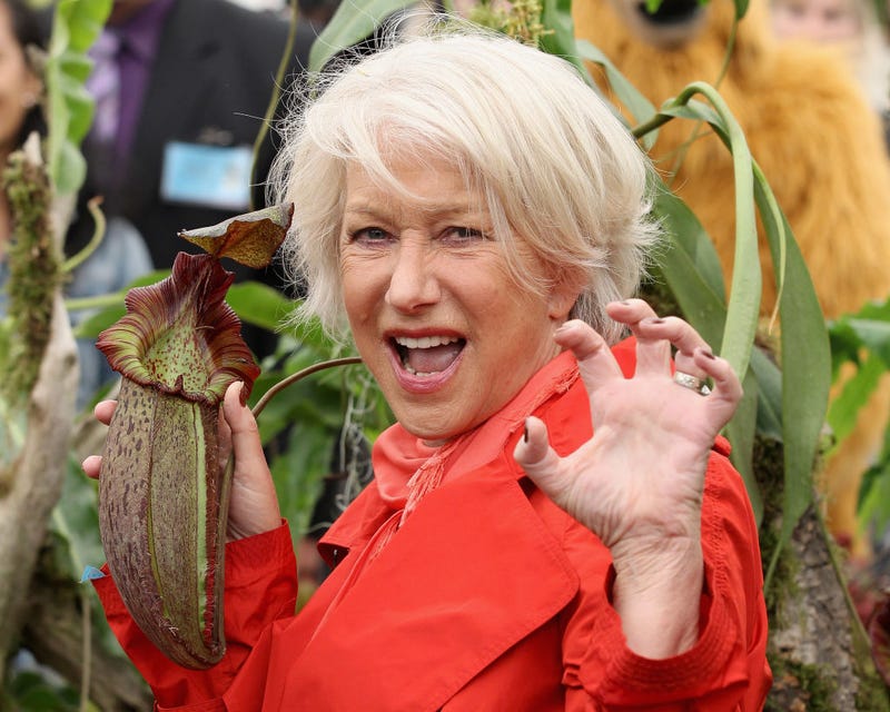 Helen Mirren