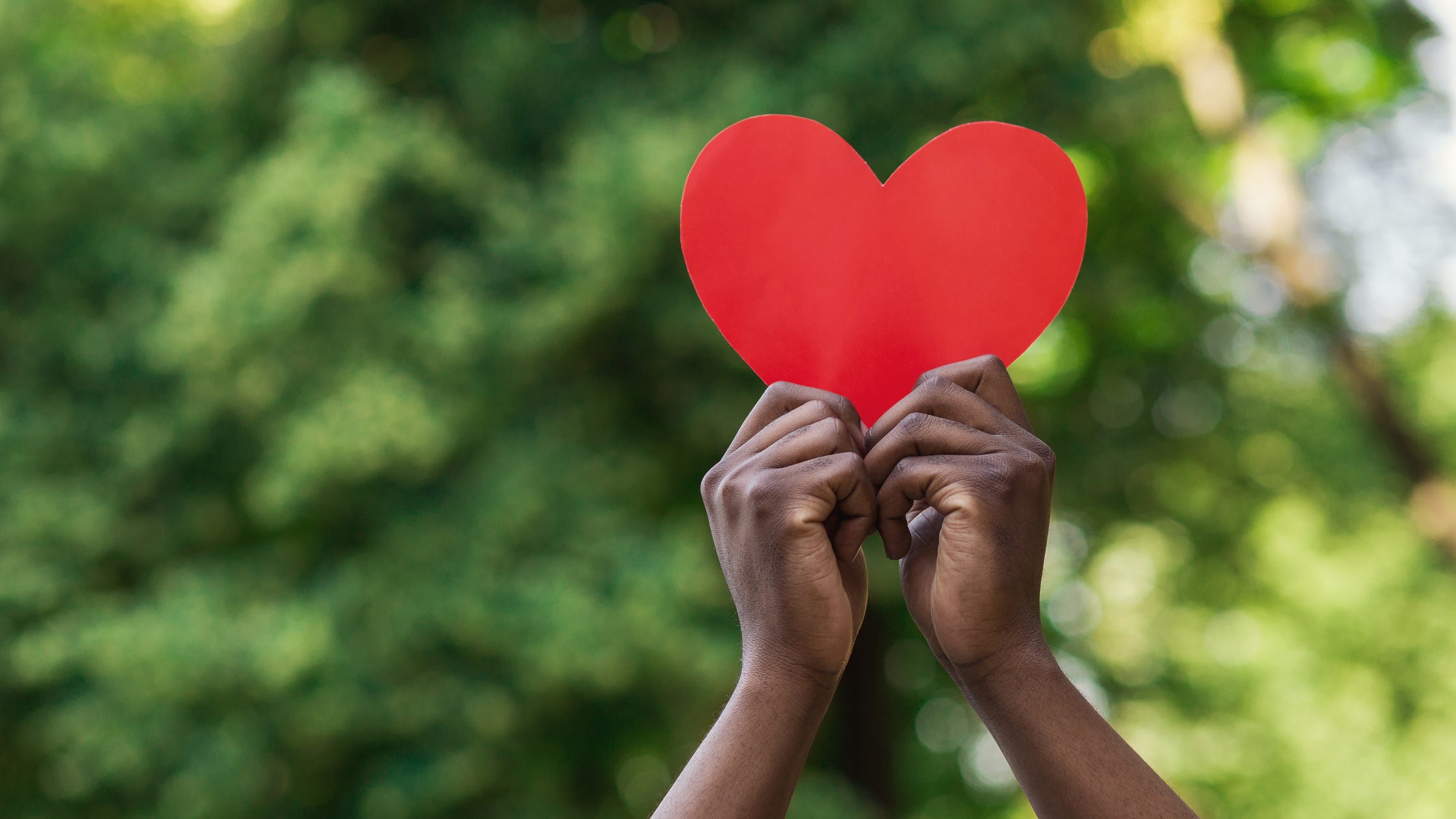 7 Detroit charities to think about donating to on Giving Tuesday