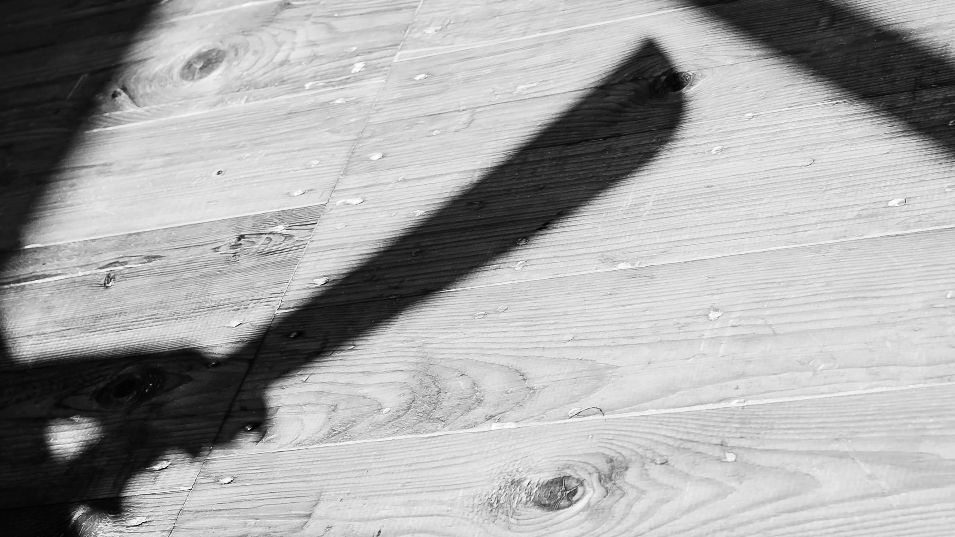 Man with machete fatally shot by deputies