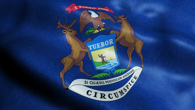 Is it time to change Michigan's almost 200-year old state flag? State legislator proposes commission to design a new one