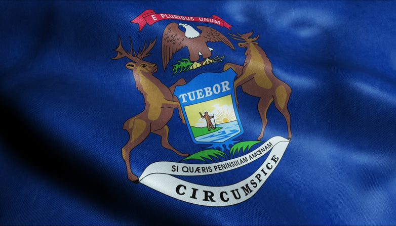 Michigan state flag