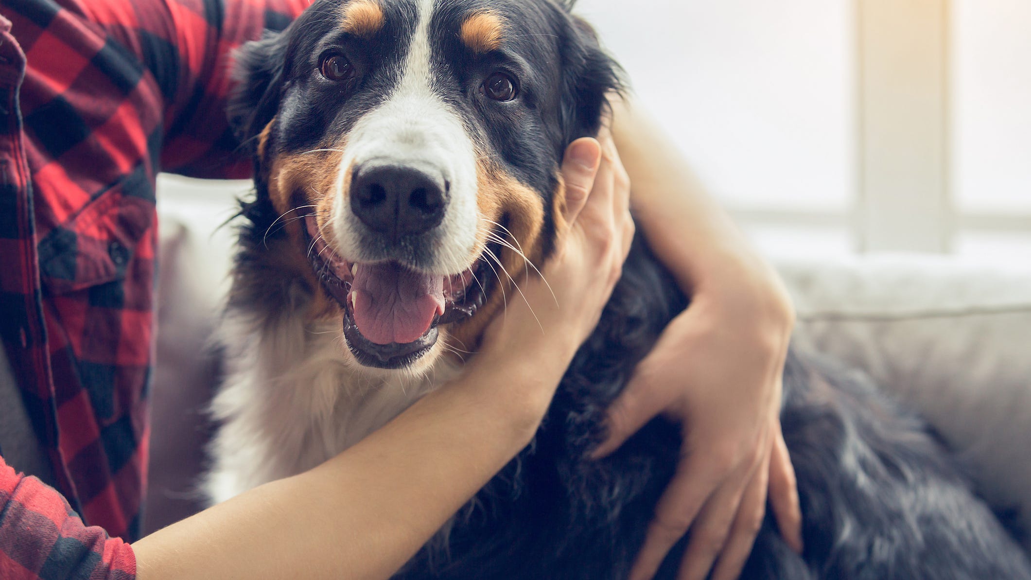 Man reunites with dog 4 months after home explosion left him in a coma