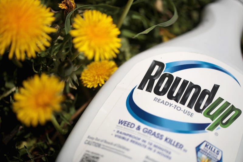 Roundup weed killer is shown on May 14, 2019 in Chicago, Illinois.