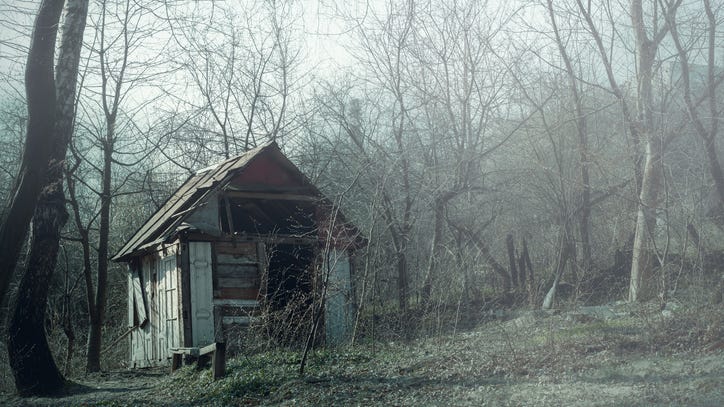 MSP looking for thief who managed to steal a whole cabin in Northern Michigan
