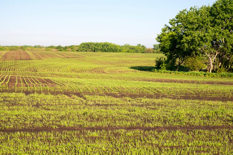 Kansas farm
