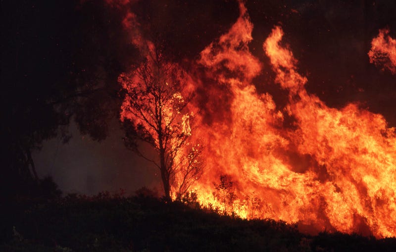 Texas Wildfires
