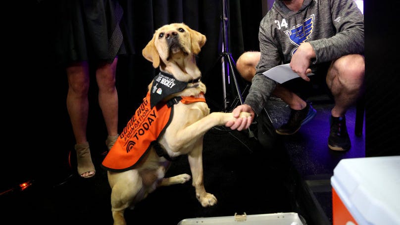 BARCLAY RETURNS: St. Louis Blues are first pro sports team to give full-time job to a dog