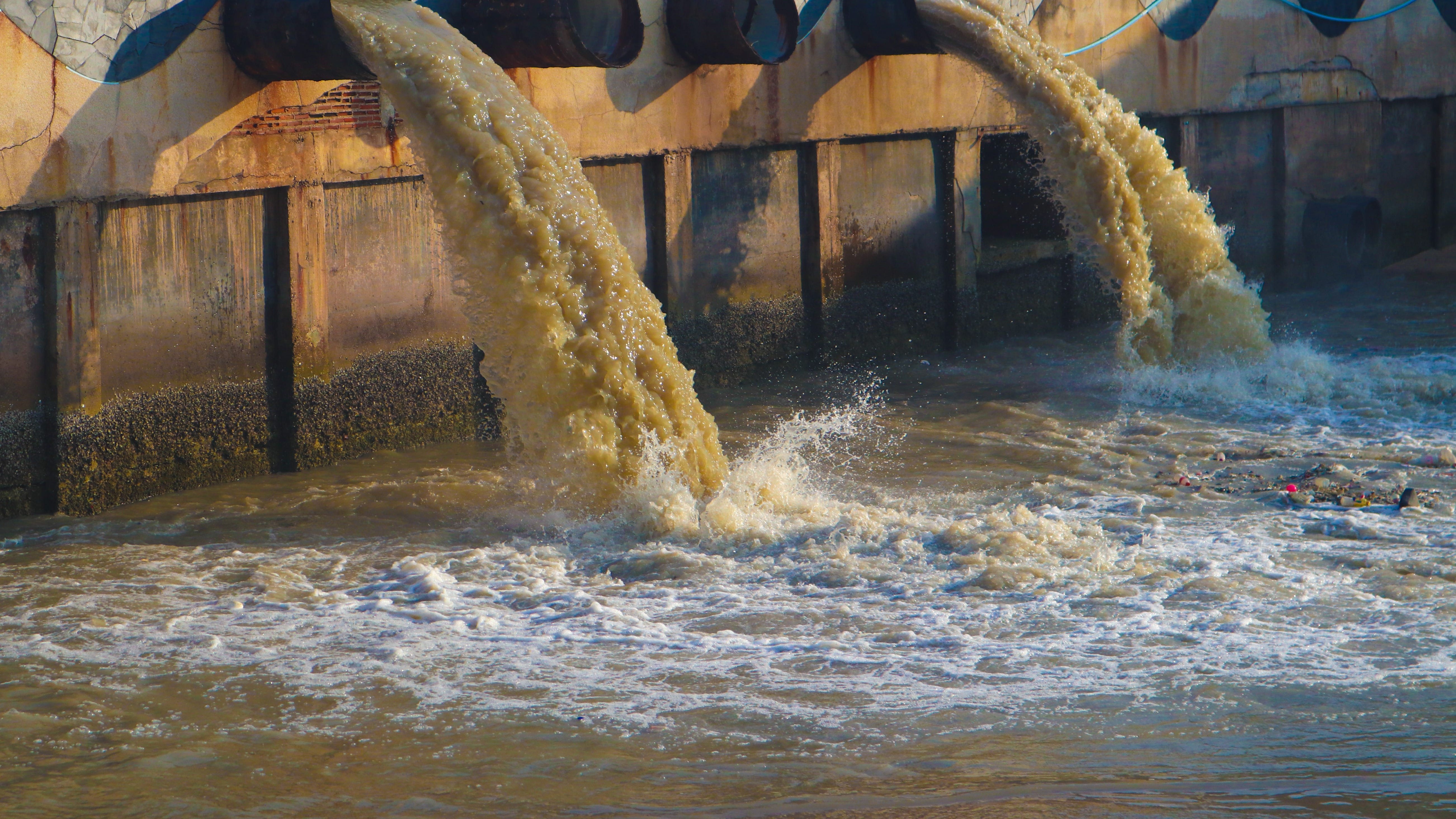 Michigan is 41% water. How much of it is contaminated by dangerous chemicals?