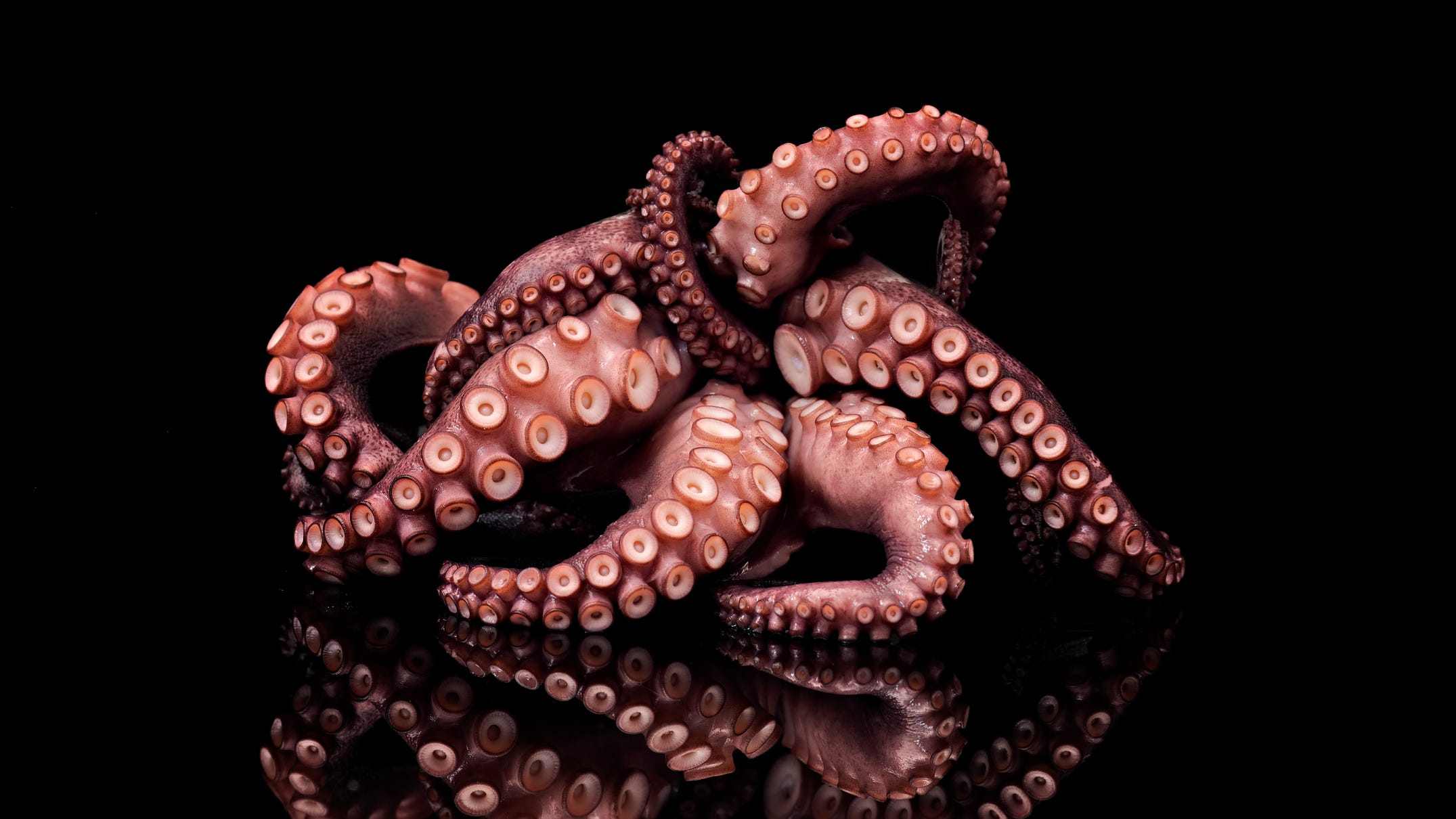 PHOTO: Fisherman discovers unusual 9-armed octopus