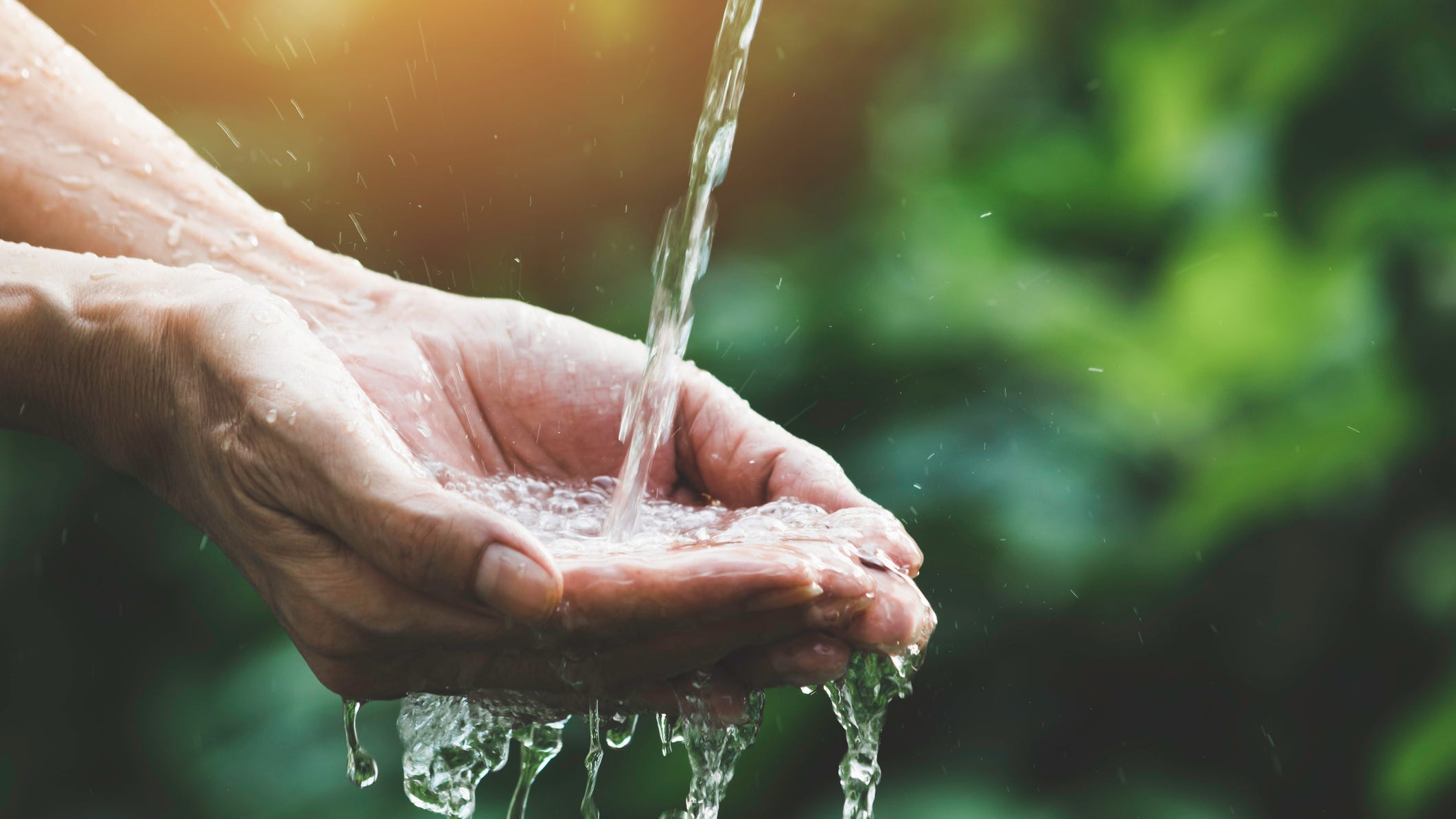 6 easy ways to cut down on water use and boost your eco-friendly household