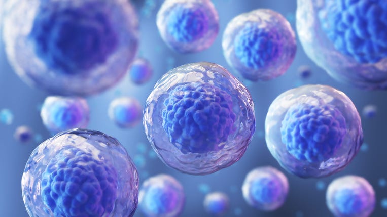 Researchers 'cure' woman of HIV through stem cell treatment