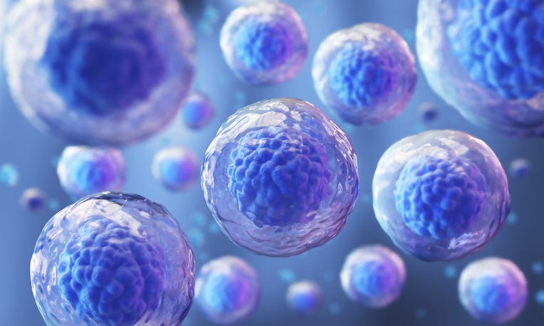 3d illustration of stem cells. 