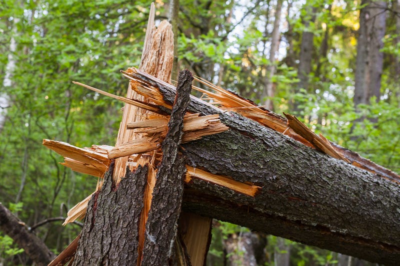Zeta weakens into a tropical storm over Alabama