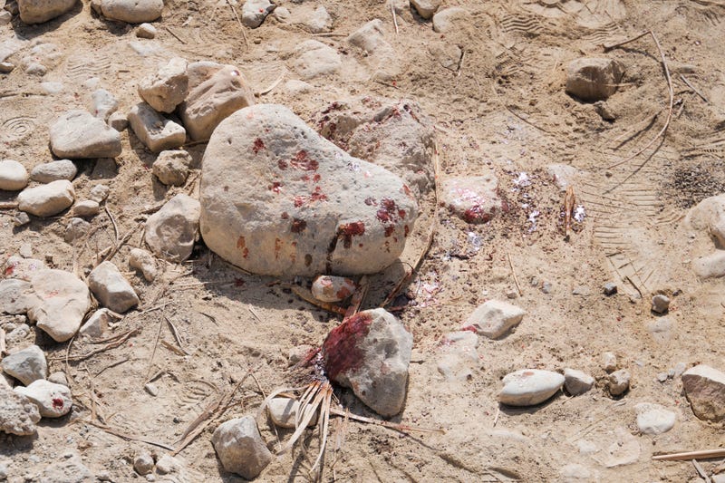 Blood on desert rocks.