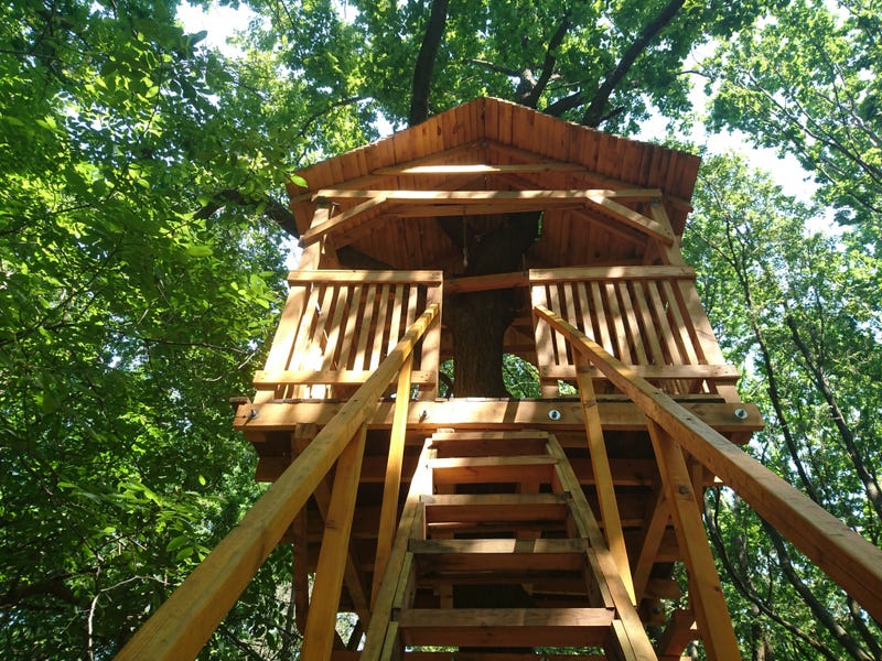 tree house