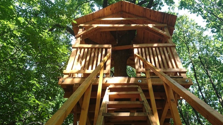 9-year-old lists treehouse on Airbnb, to donate all income to charity