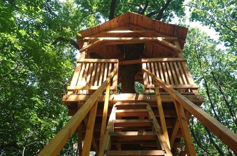 Treehouse in the forest