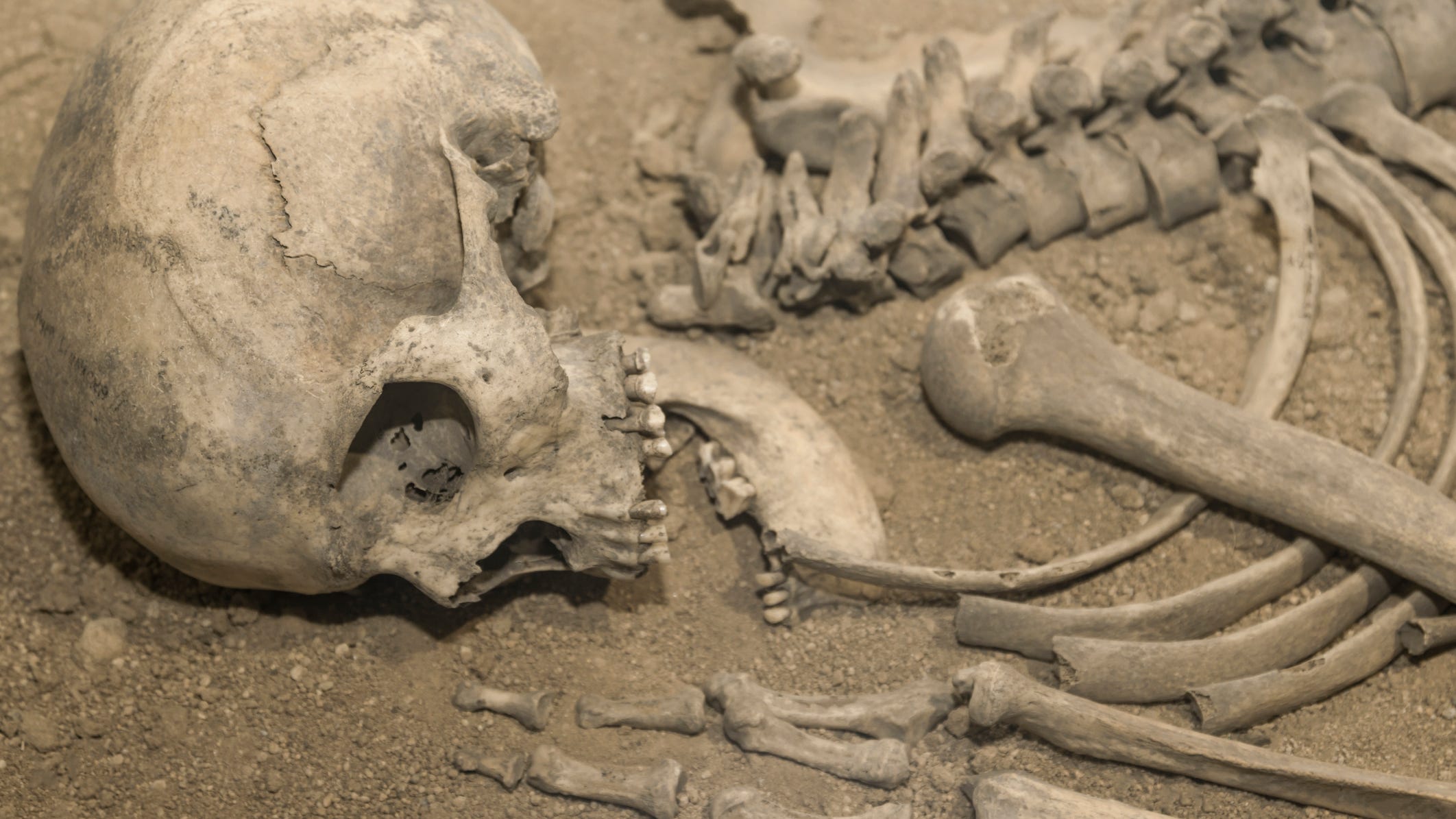 New clues indicate human fossil might be 36,000 years older than we thought