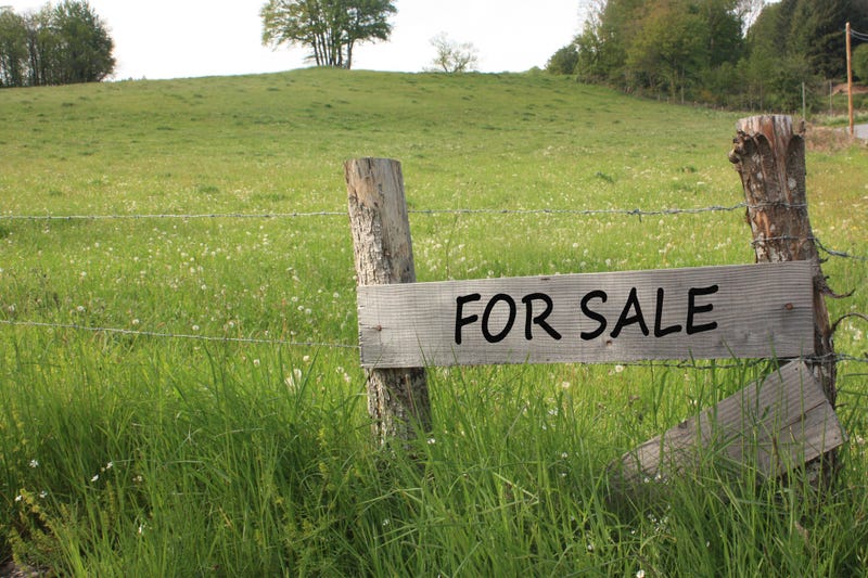 For Sale
