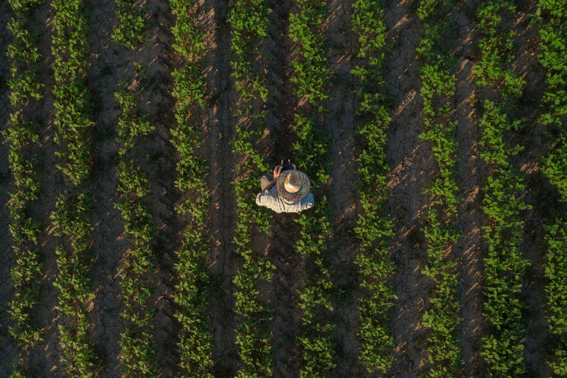 New funds for Minnesota's up and coming farmers seeks to give smaller farmsteads and food businesses a boost.
