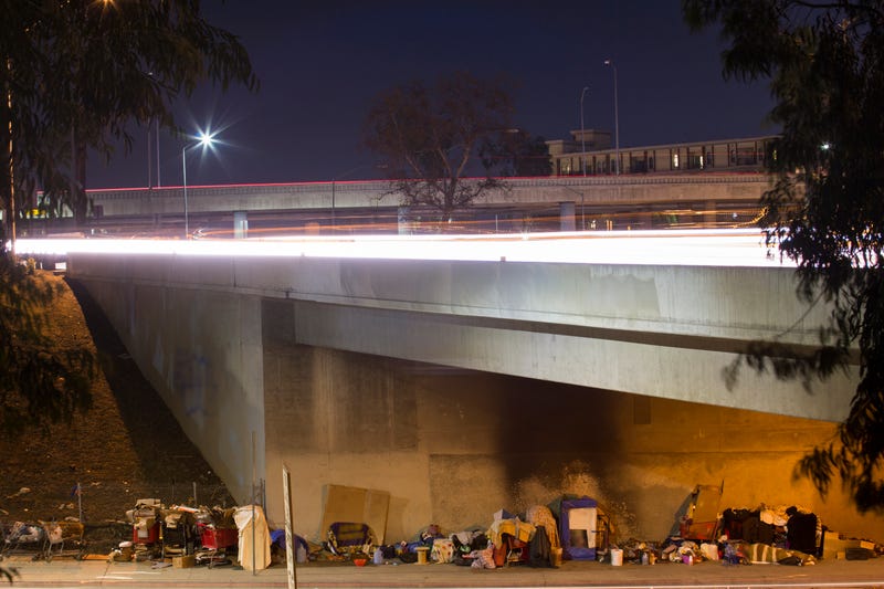 A homeless encampment under a Downtown Los Angeles freeway.