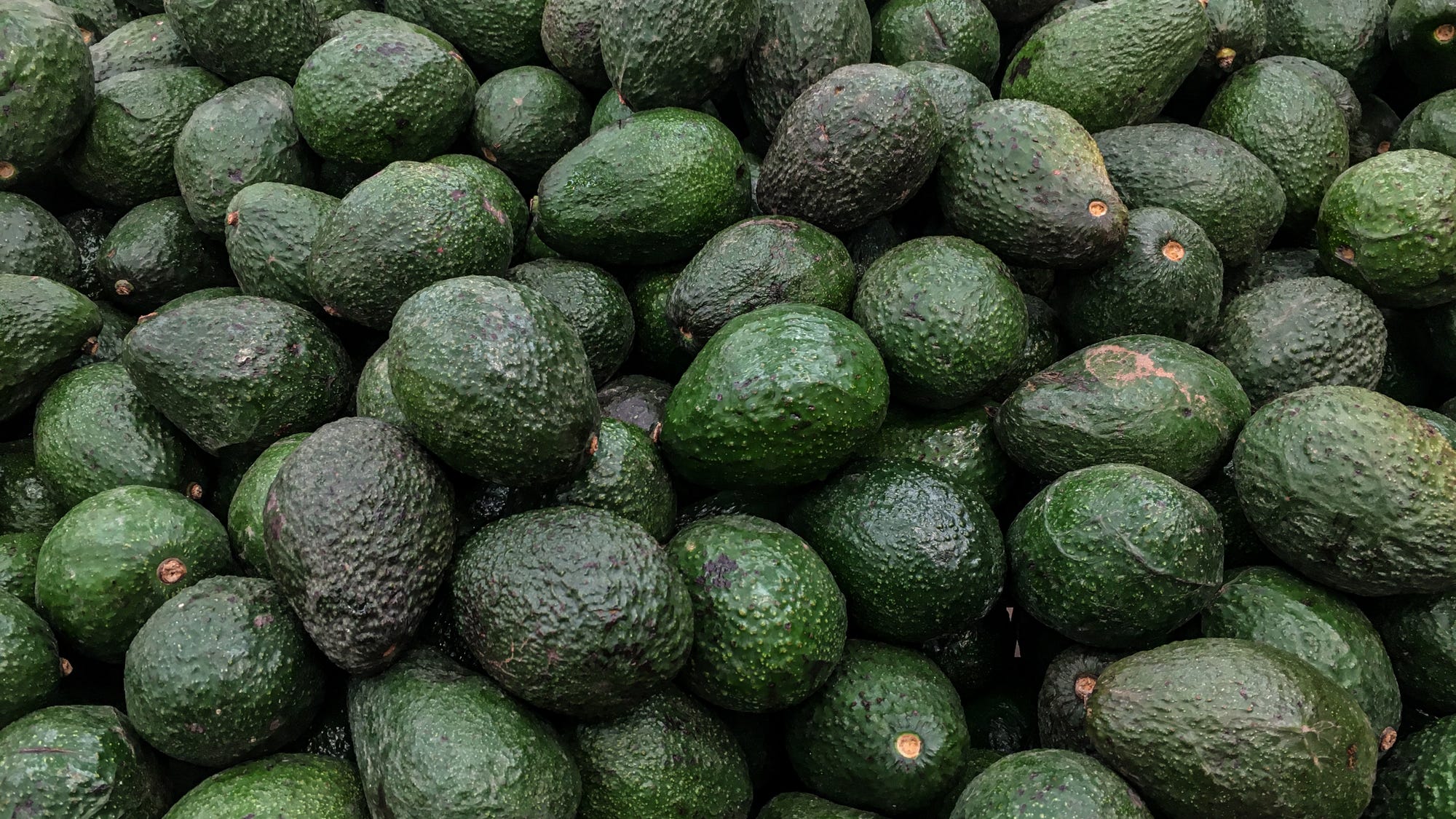 Avocado supplies dwindling, prices soaring as fight with Mexico continues
