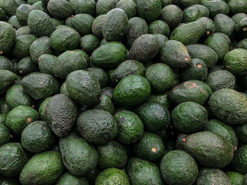 Avocado supplies dwindling, prices soaring