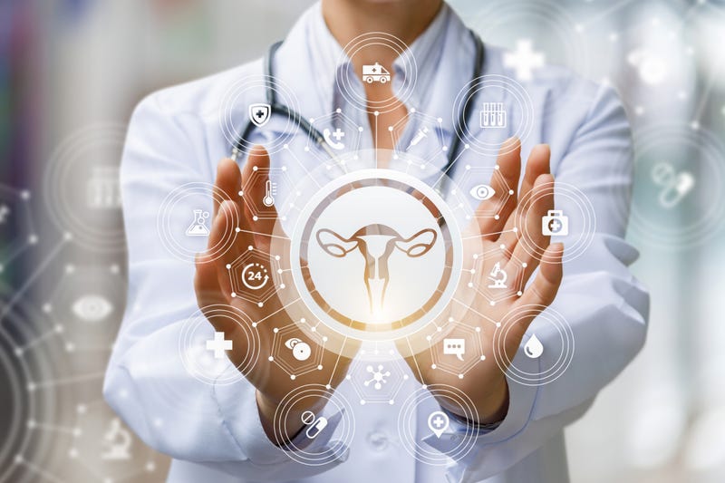 The doctor shows the icon of the female uterus