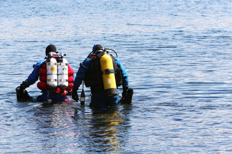Search for missing swimmer