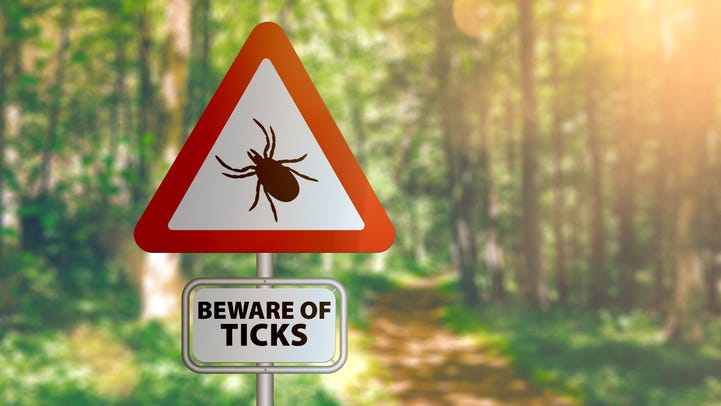 Coronavirus and Lyme Disease Share Similar Symptoms – Here's How to Tell the Difference