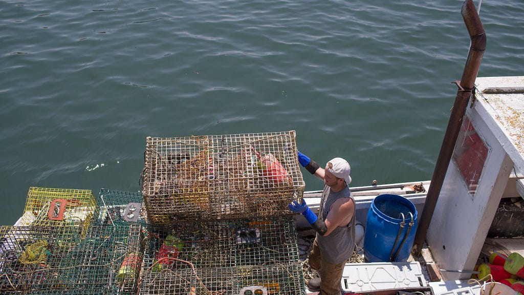 Maine lobster fishermen sue environmental group for defamation