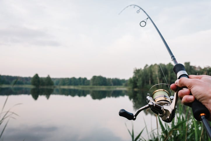 A man casting a line to fish in a lake surrounded by trees.