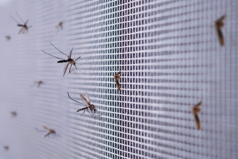 iStock/Getty Images