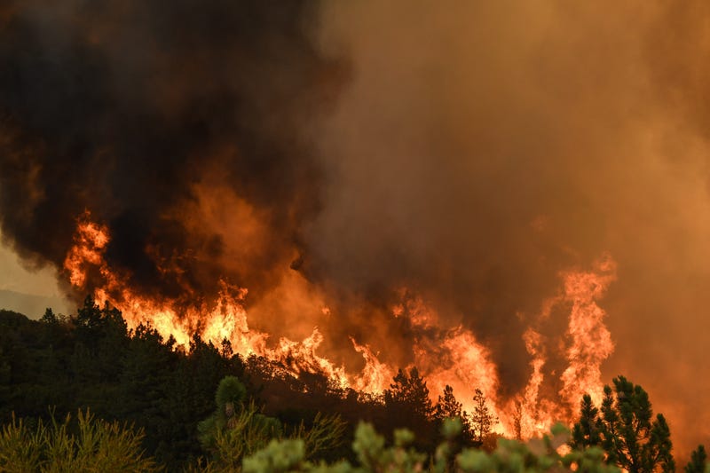 brush fire burns on hillside