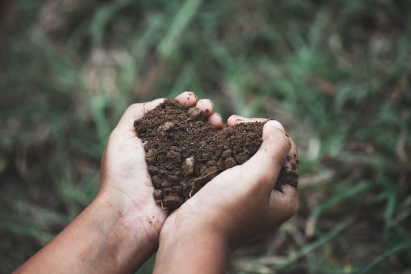 Child holding soil in the shape of a heart in hands