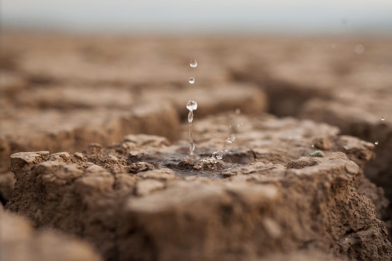 Drought 