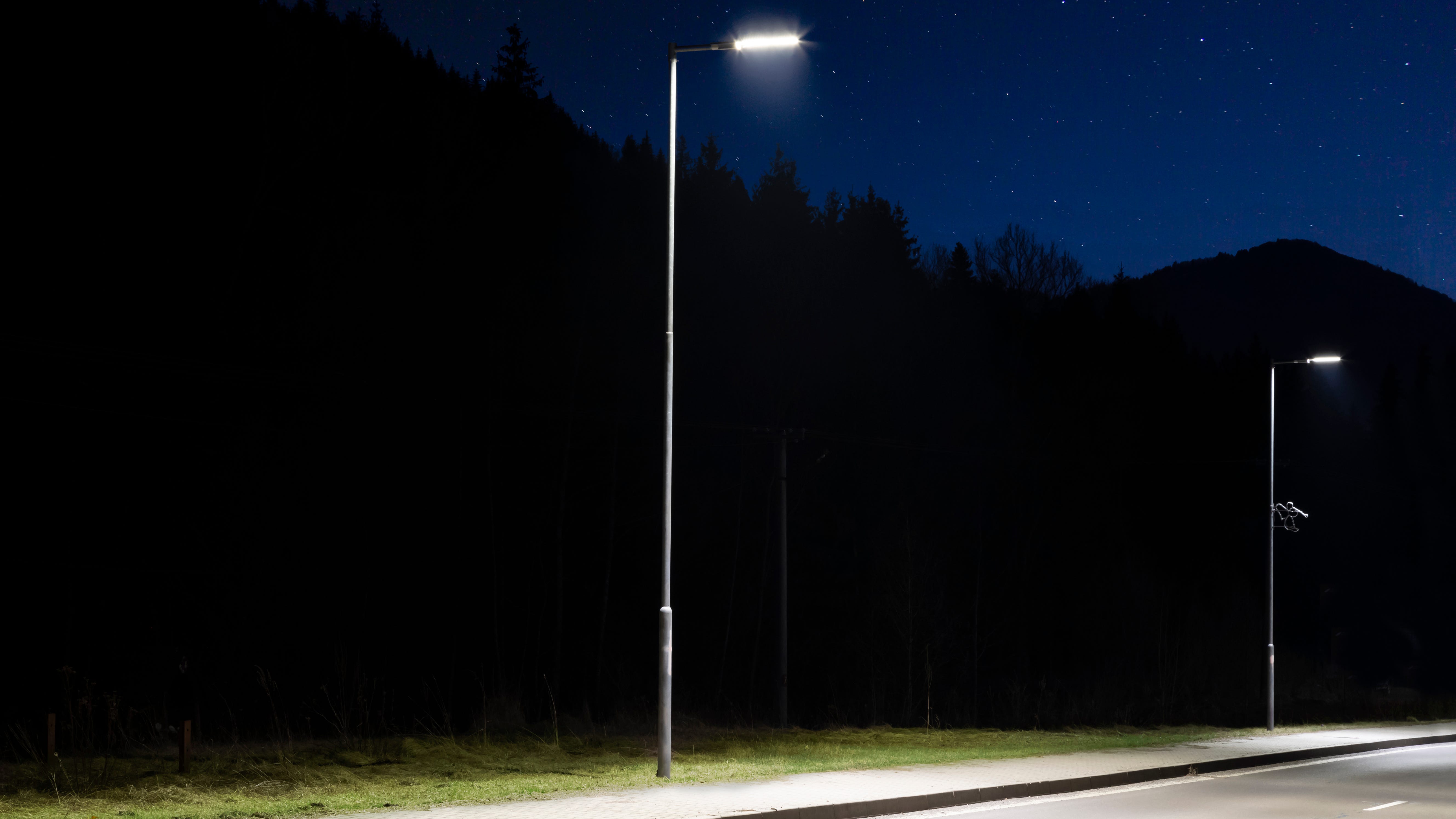 LED lights may be responsible for killing off this important insect