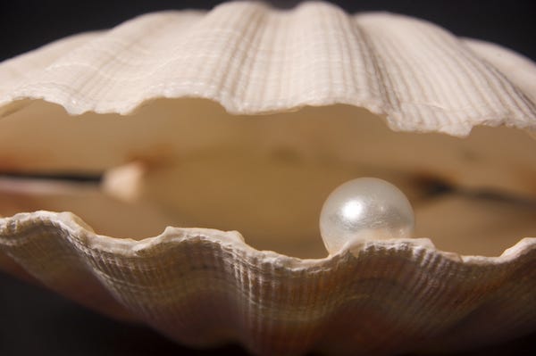 Clam with a pearl inside