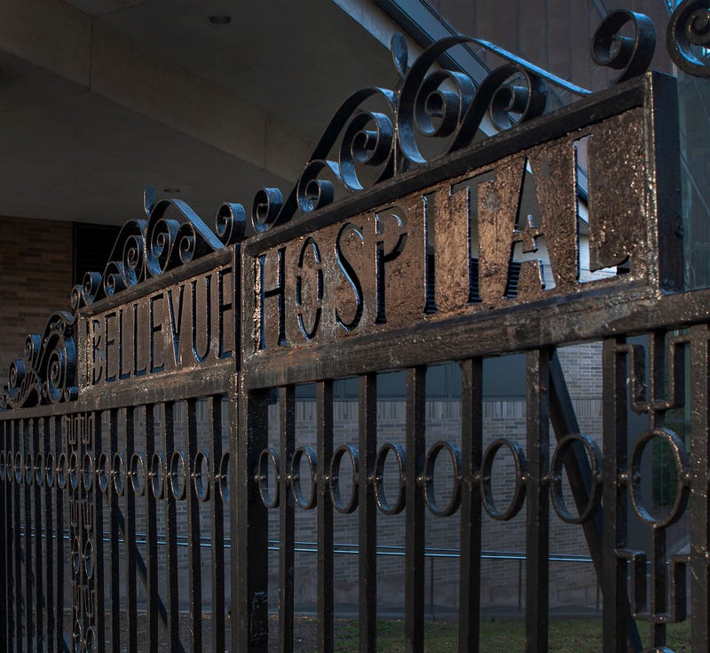 Entrance Gate, Bellevue Hospital
